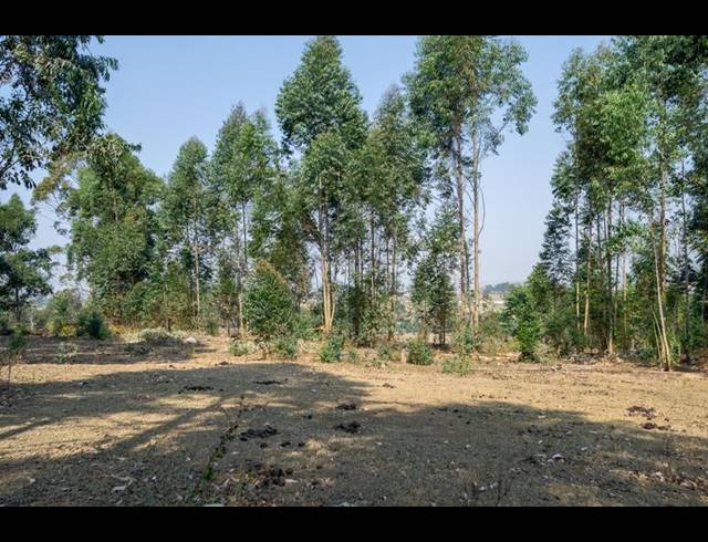 LAND FOR SALE IN GREENDALE